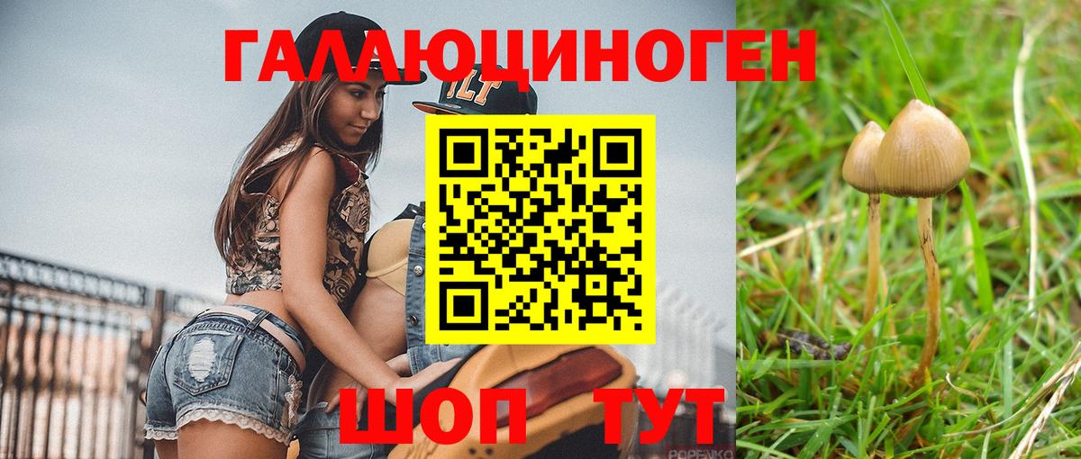 Магнитогорск  Псилоцибиновые грибы GOLDEN TEACHER  Вход с VPN  Псилоцибиновые грибы Psilocybe 